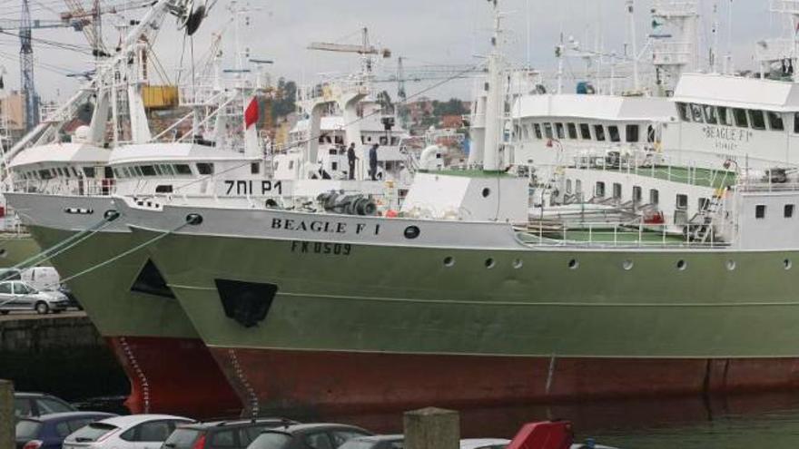 Barcos de la flota pesquera de gran altura amarrados en los muelles del Puerto de Vigo.  // J. de Arcos