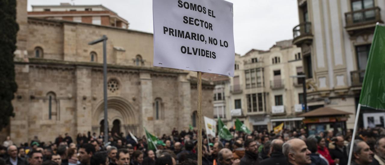 Hombres y mujeres del campo durante una manifestación en Zamora