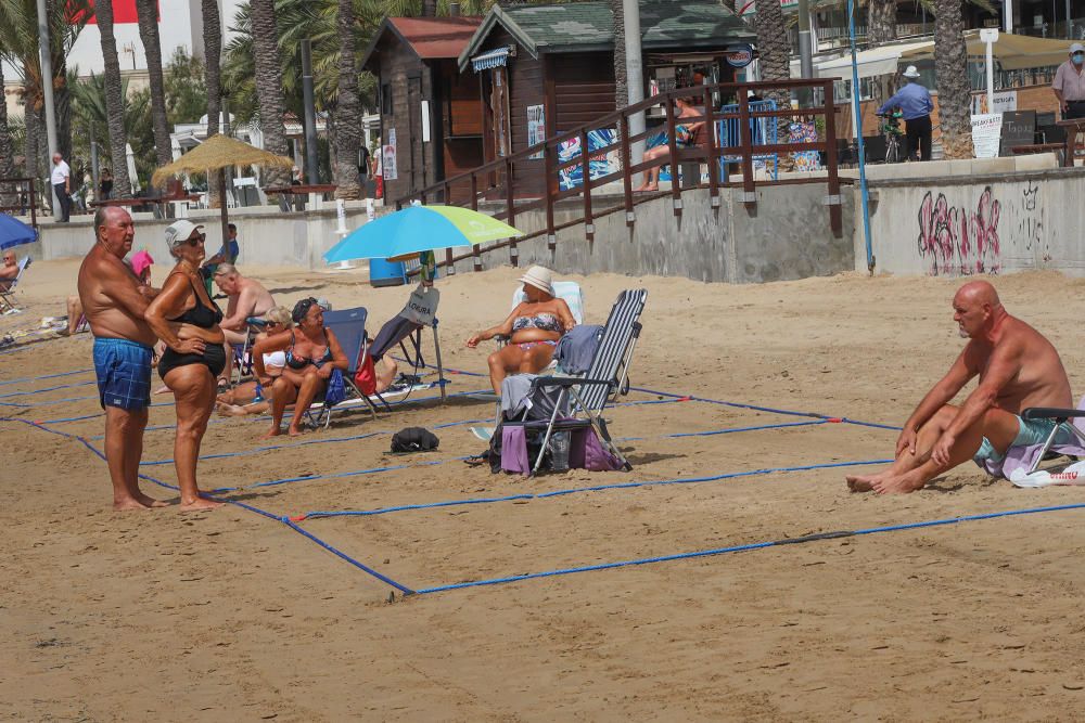 Primer día de baño autorizado en las playas de Torrevieja con arena parcelada y controles de acceso