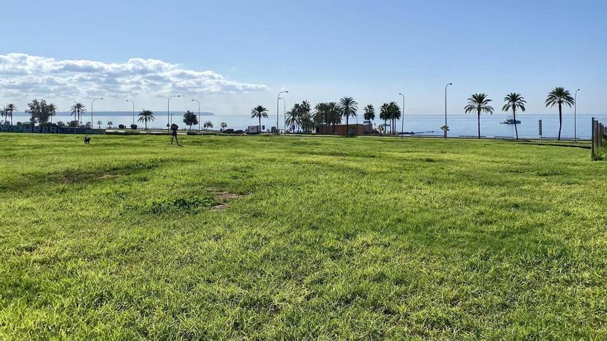 Prognose geändert: Traumwetter bleibt Mallorca doch länger erhalten