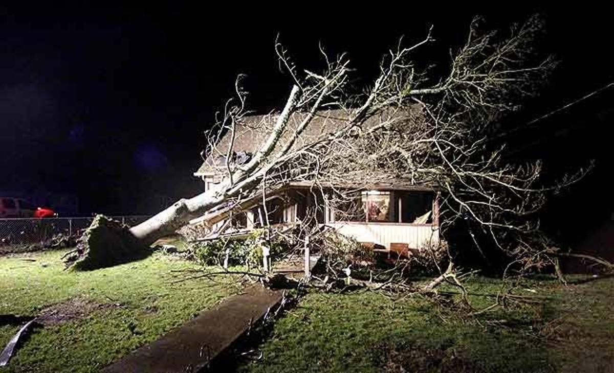 Un arbre cau sobre una casa a causa d’un tornado a Aumsville, Oregon (Estats Units).