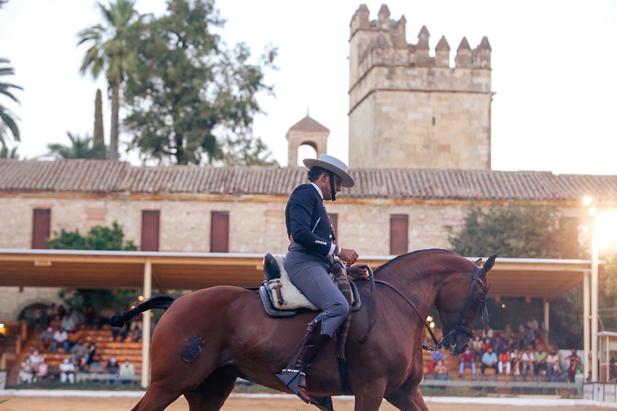 Final de la Copa de España de Doma Vaquera