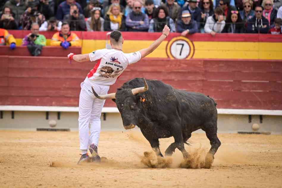 Así ha sido el Concurso Nacional de Recortadores de Castellón