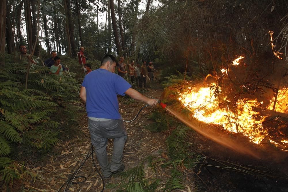 Arbo lucha contra el fuego