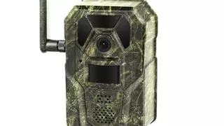 Llega la EagleCam 5 de Magic Eagle, cámara de camuflaje