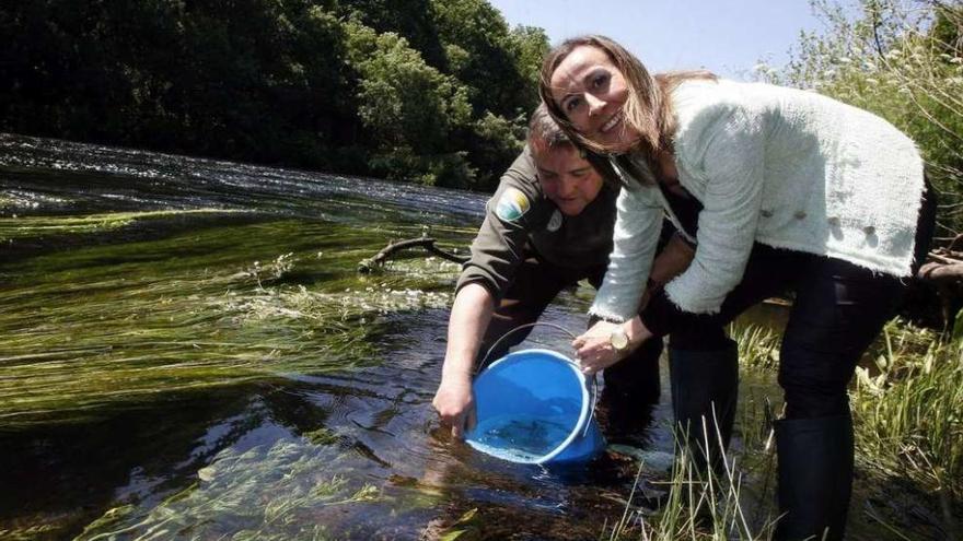 La conselleira Ethel Vázquez participó ayer en la suelta de salmones en Ximonde. // Carlos Martínez