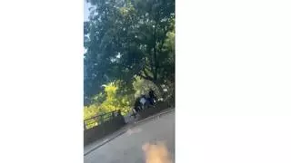 El acusado de tocar el culo a una menor en Zamora, desterrado durante dos años