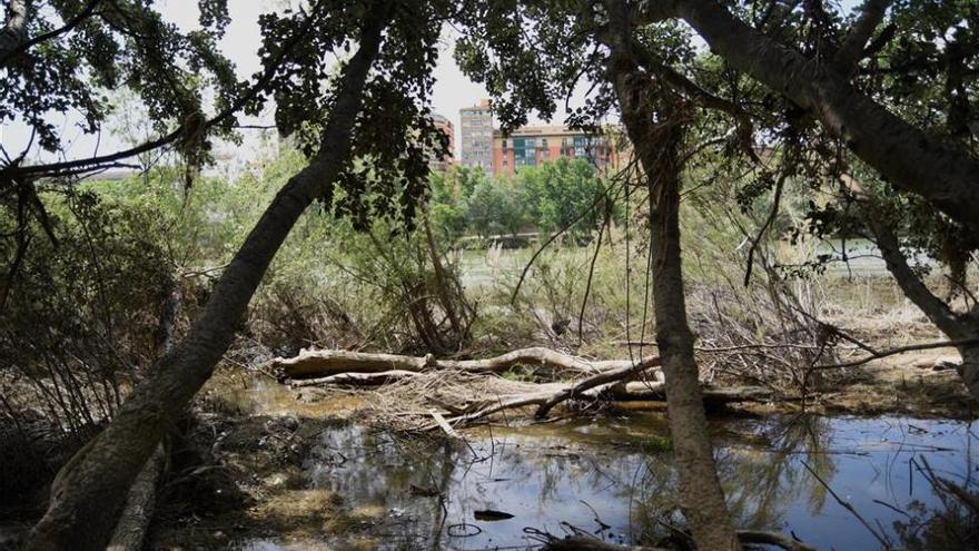 Un estudio plantea como alternativa el trasvase del Ebro para regar el sureste del país