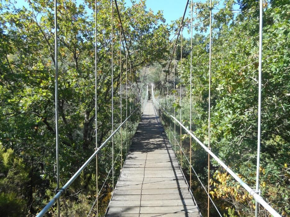 Puentes colgantes en Galicia | Así es la vertiginosa pasarela de Calvelo