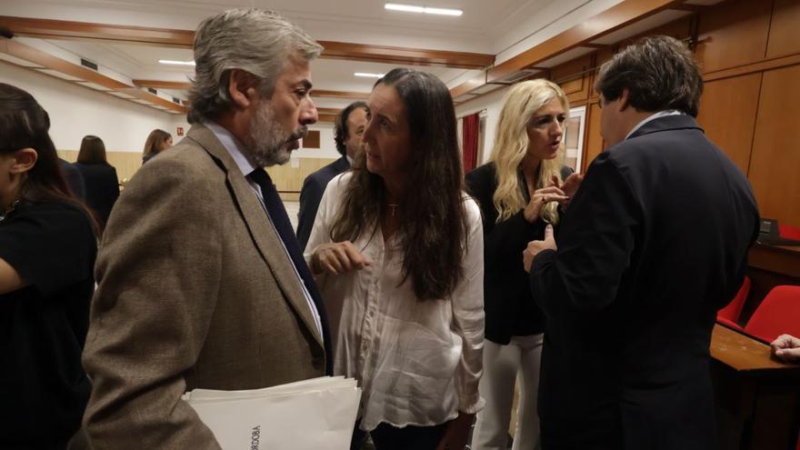 Bronca política en el Pleno de Córdoba por la limpieza, los cribados y por la planificación eléctrica del norte de la provincia