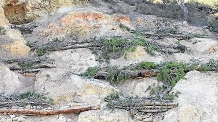 Estudian blindar frente a la erosión la zona del incendio de Artana