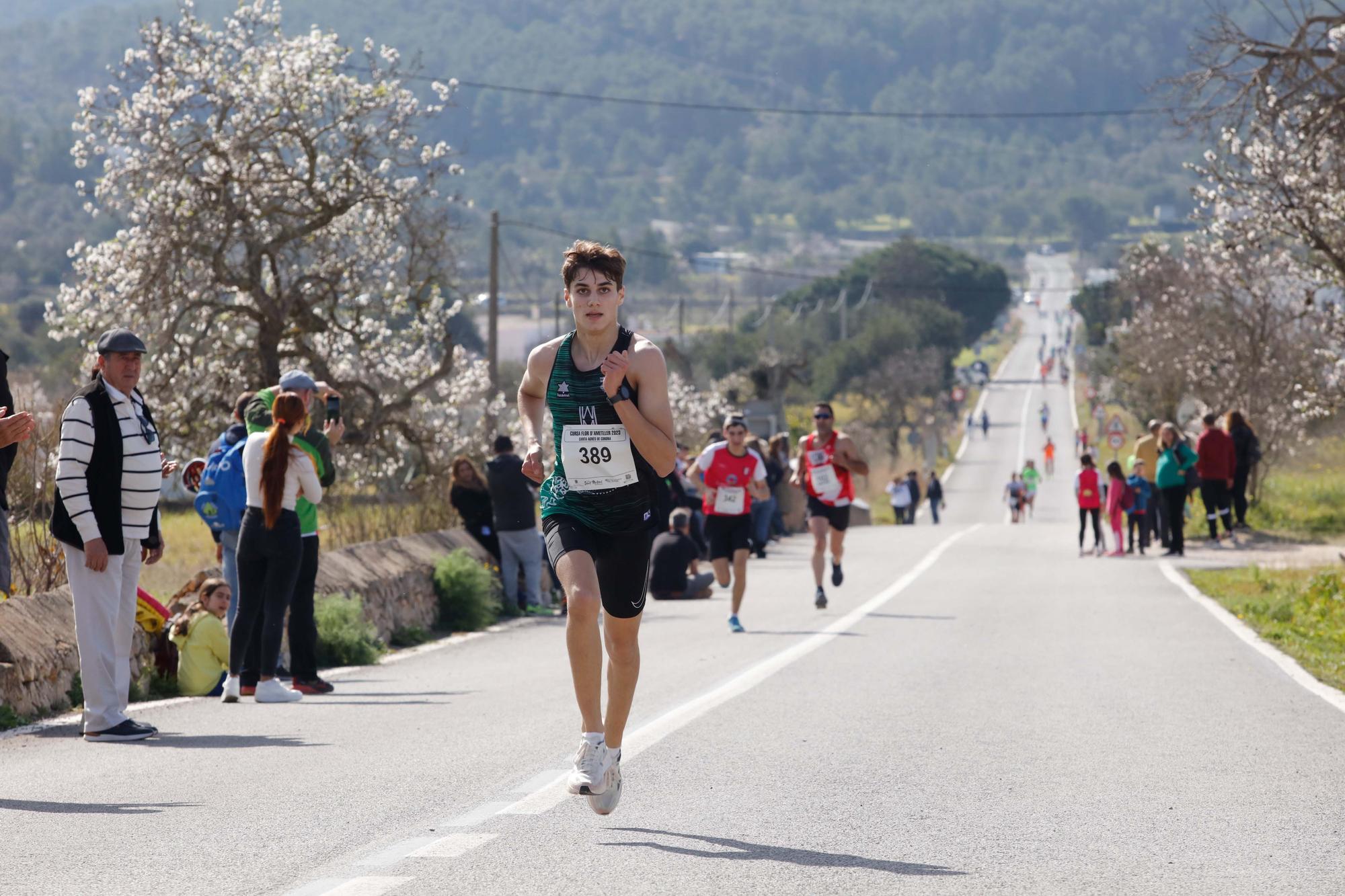 Galería de imágenes de los 250 atletas participantes en la Cursa de la Flor de l’Ametller en Ibiza