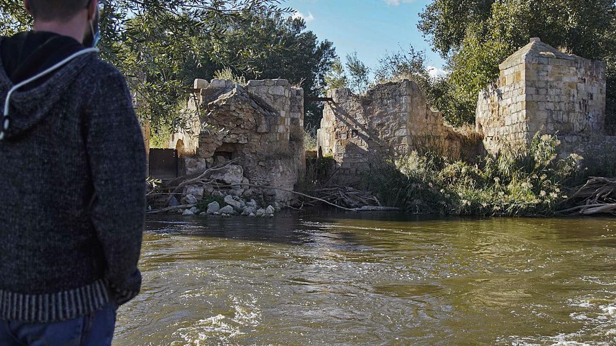 Desprendimientos en parte del conjunto de las aceñas de Gijón. | Jose Luis Fernández