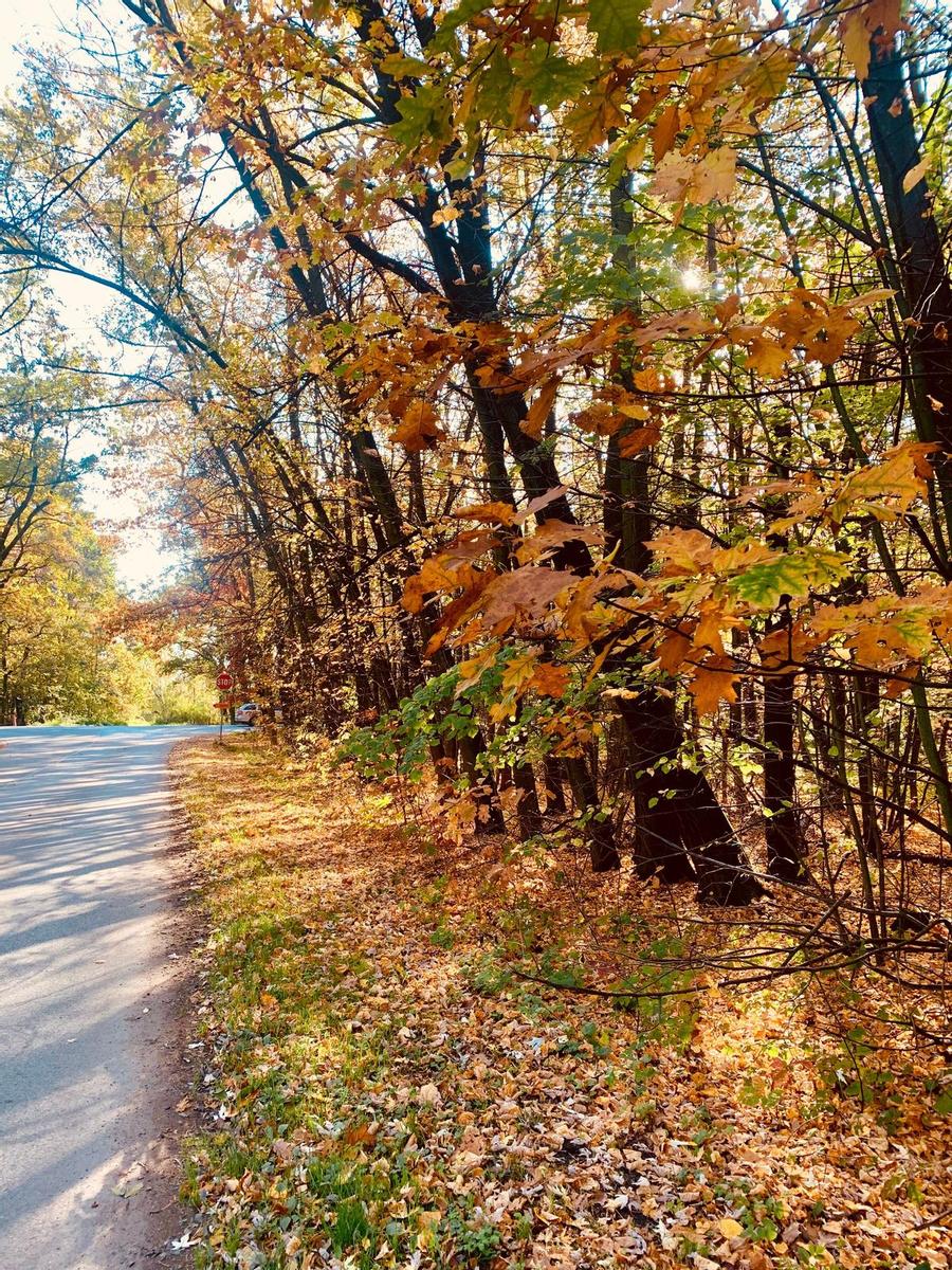 Otoño en Pardubice, República Checa