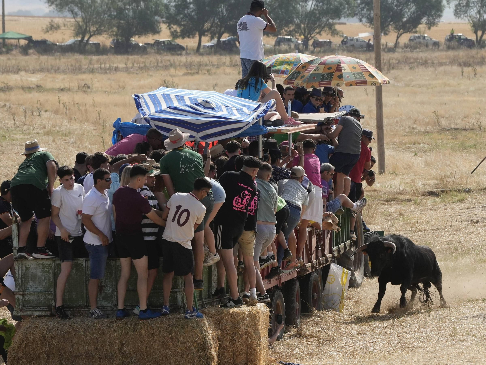 GALERÍA | Multitudinario encierro en la pradera de Guarrate