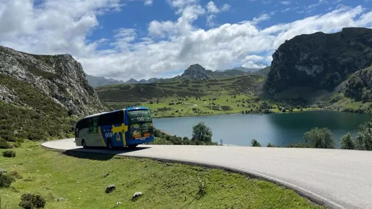Un autobús del plan de transporte circula junto al lagom Enol.