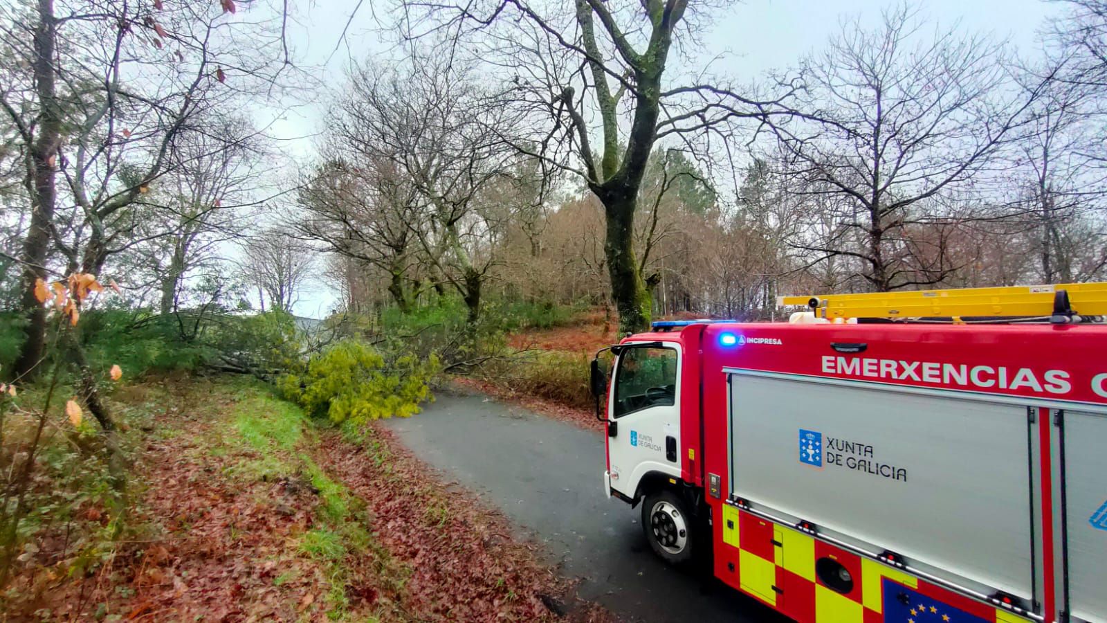 Reguero de incidencias en Lalín por el temporal