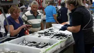 La sardina de San Juan se cita mañana con el consumidor