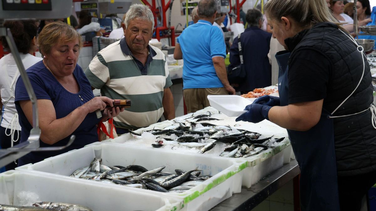 Venta de sardina en la plaza de Cambados, ayer.