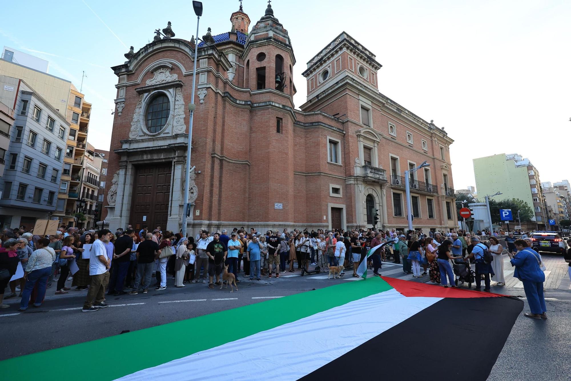 Galería de imágenes: Castellón sale a la calle en defensa de Palestina