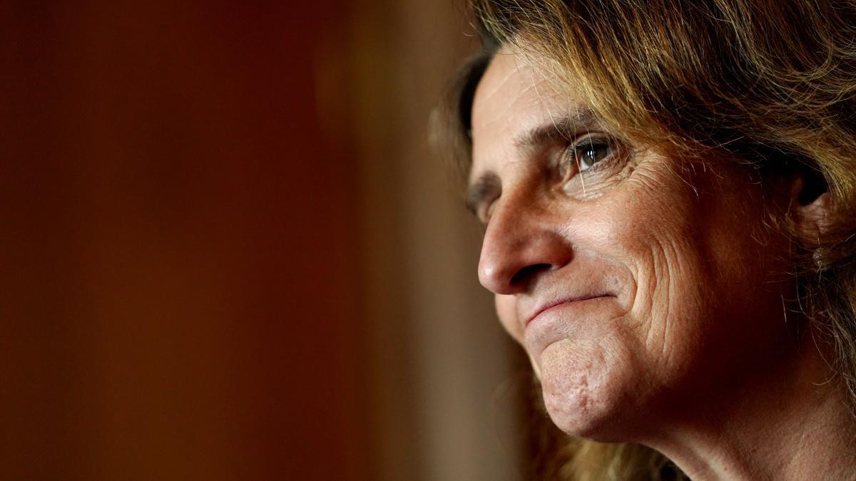Teresa Ribera, vicepresidenta tercera y ministra para la Transición Ecológica FOTO JOSÉ LUIS ROCA