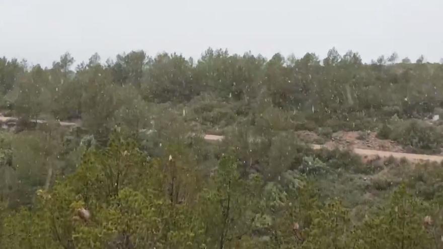 Cae en Requena la primera nieve del invierno