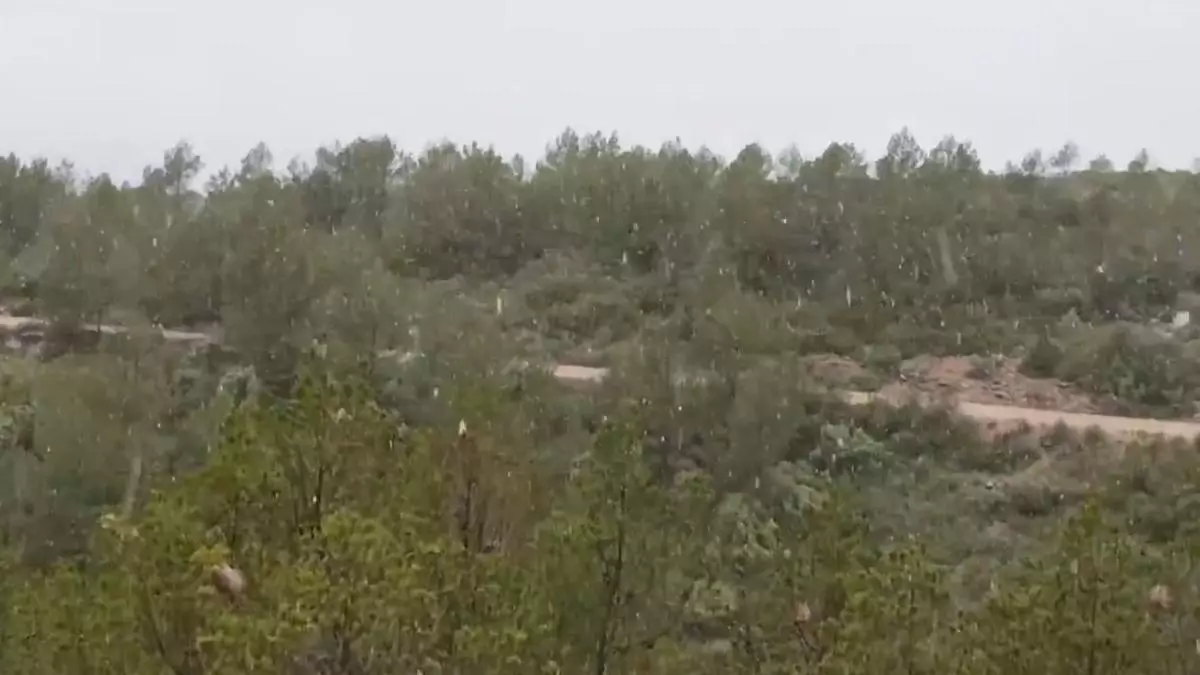 Cae en Requena la primera nieve del invierno