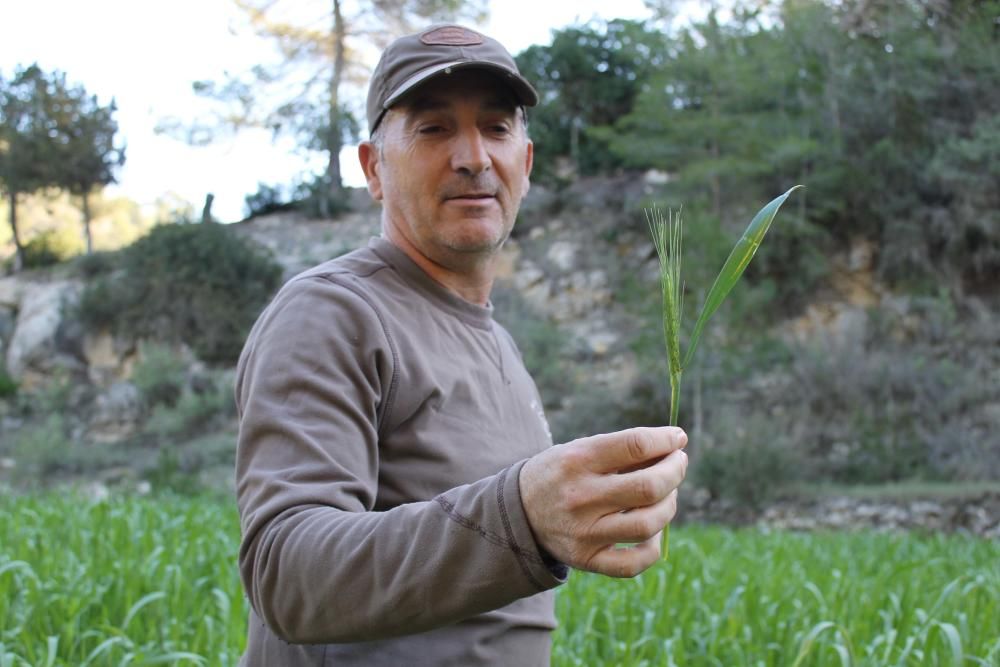 Cazar, pero también proteger y cuidar el campo