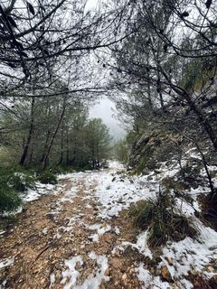 Las fotos de la nieve en Mallorca de nuestros lectores