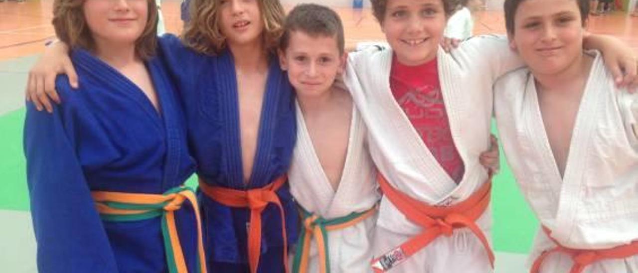 Los benjamines del JudoCanet alcanzan la final autonómica