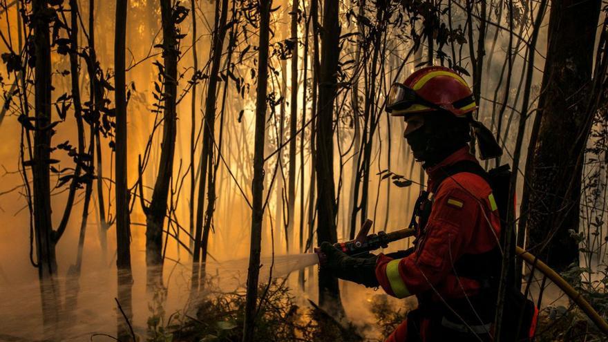 Un incendio en Toén, Ourense.