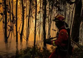 Los montes vecinales menos productivos sufren un 36 por ciento más de incendios
