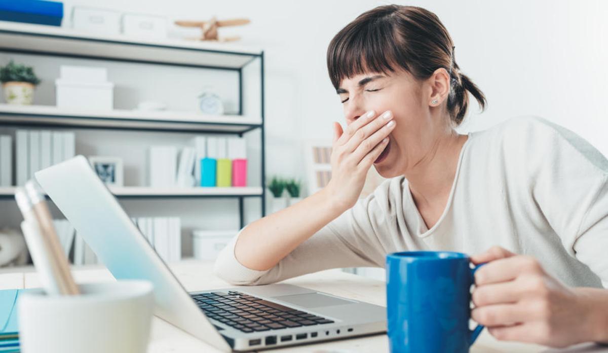 El bostezo también se contagia en primates y perros.