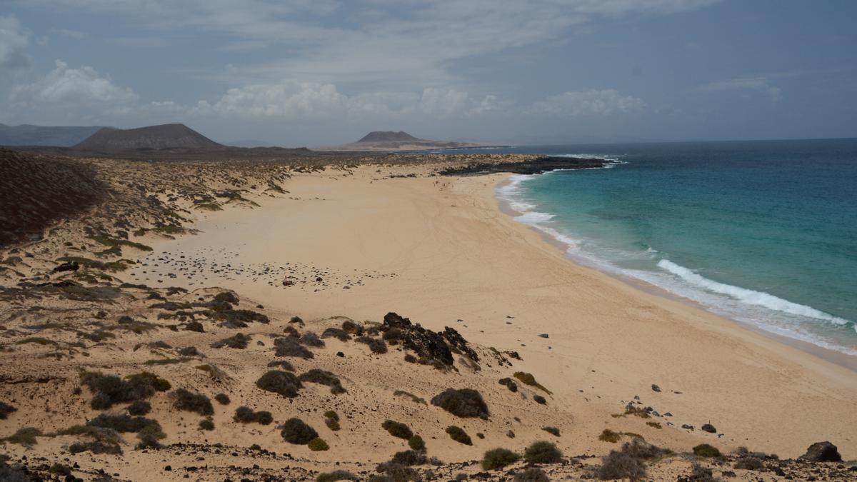 La playa de Las Conchas, una joya natural de La Graciosa, dibuja un extenso arenal con aguas turquesas.