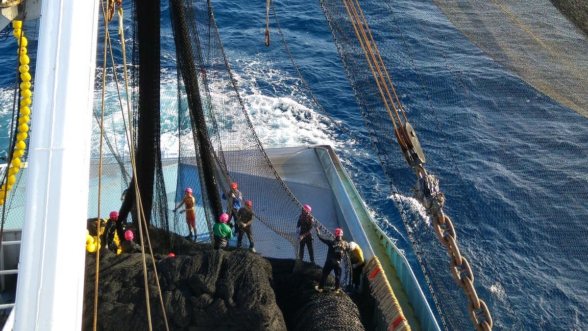 Pesca de túnidos tropicales.