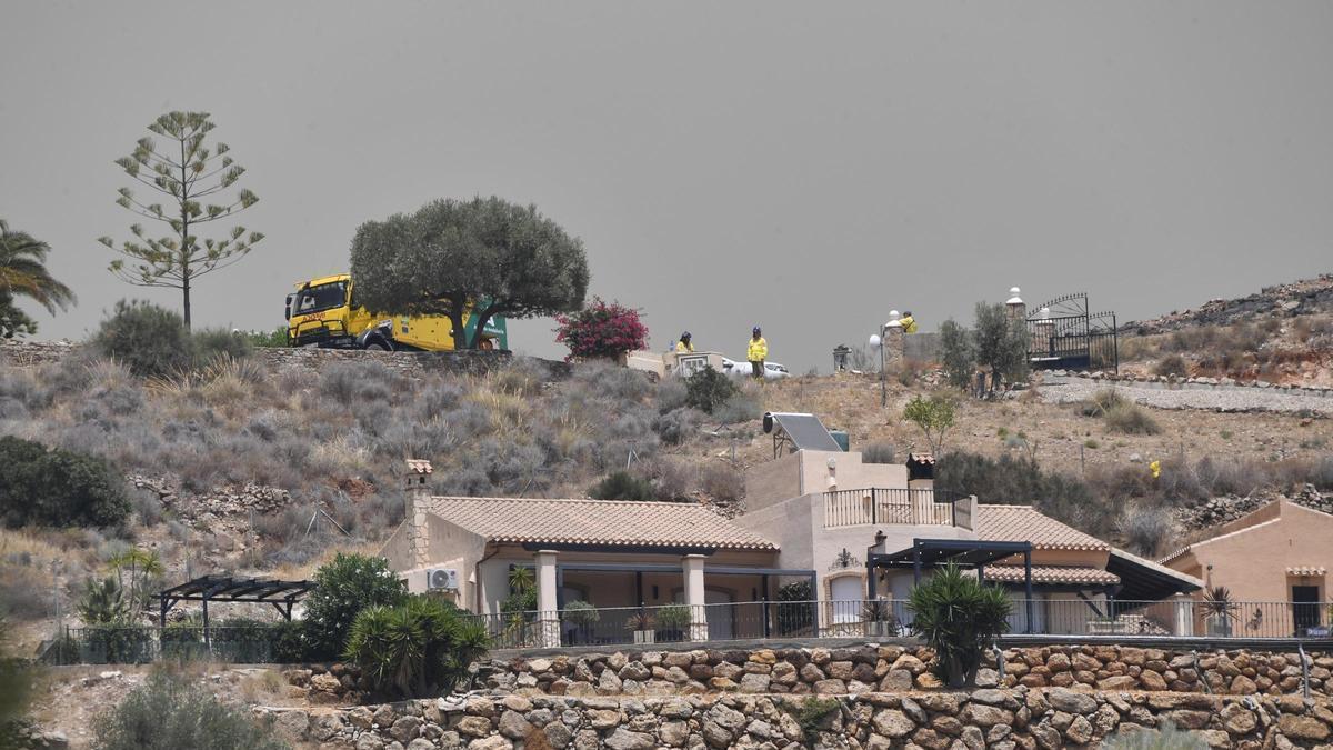 Paraje calcinado en el incendio de Almería.