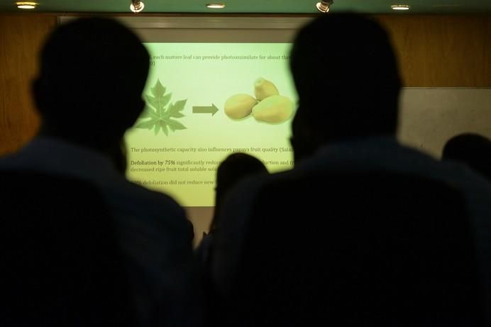 JORNADAS SOBRE LA PAPAYA