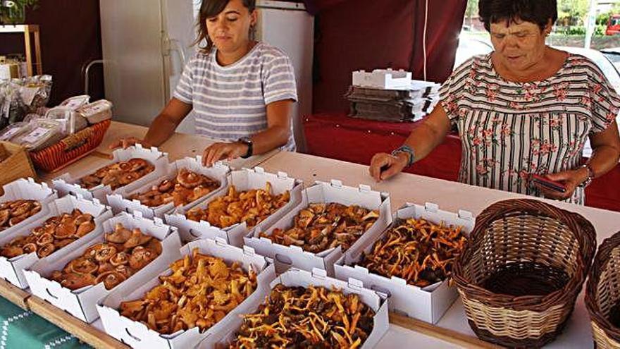 Parada de bolets del mercat de Cal Rosal