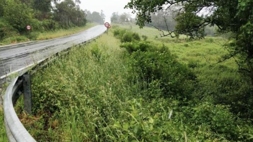 Tramo de carretera por el que discurrirá la senda. | // LA OPINIÓN