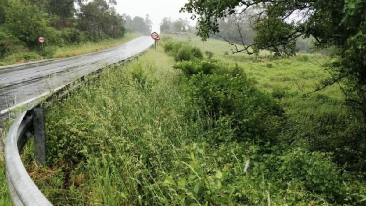 Tramo de carretera por el que discurrirá la senda. |   // LA OPINIÓN