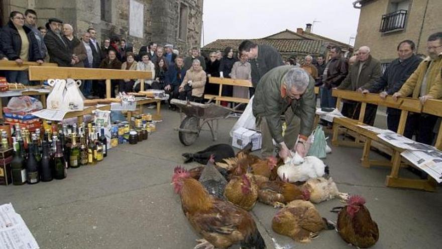 Tradicional subasta de gallos y gallinas en Domez de Alba celebrada el año pasado.
