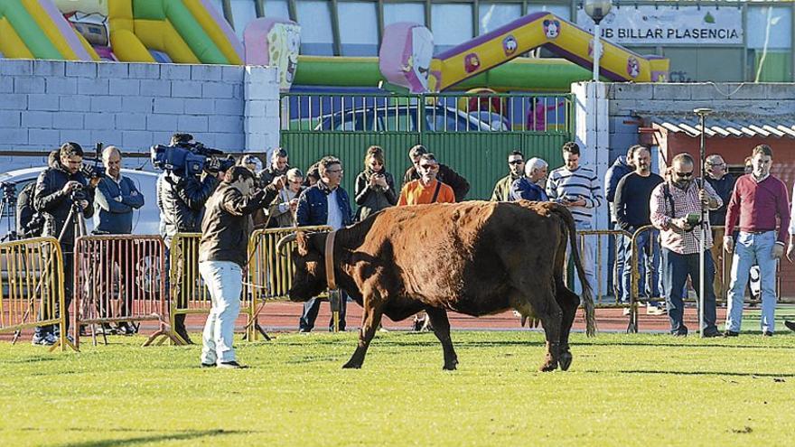 La &#039;caca de la vaca&#039; concede dos premios de 2.500 euros