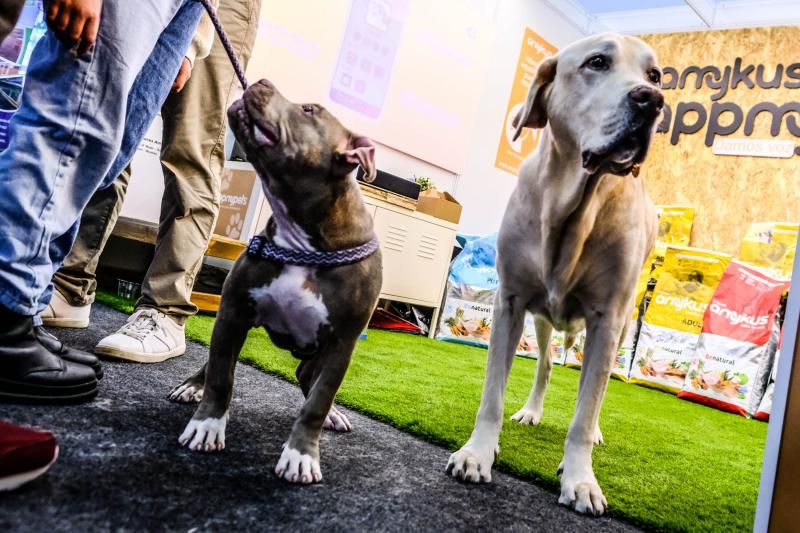 Feria Animundo de las mascotas (27/11/21)