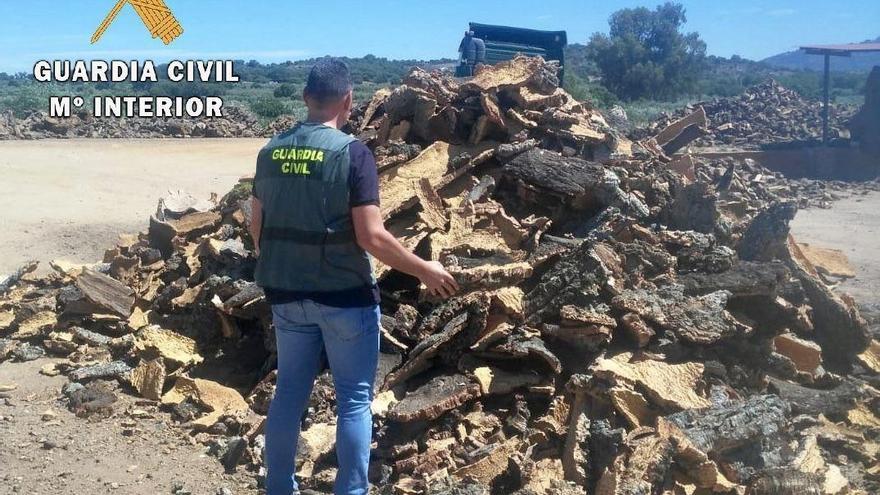 Recuperada una tonelada de corcho robado en Sierra de Fuentes