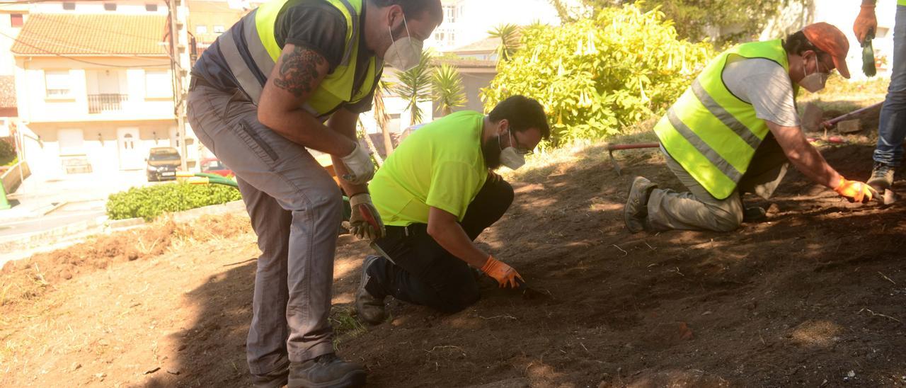 Trabajos de excavación en la zona en la que aparecieron los restos óseos de Cálago.