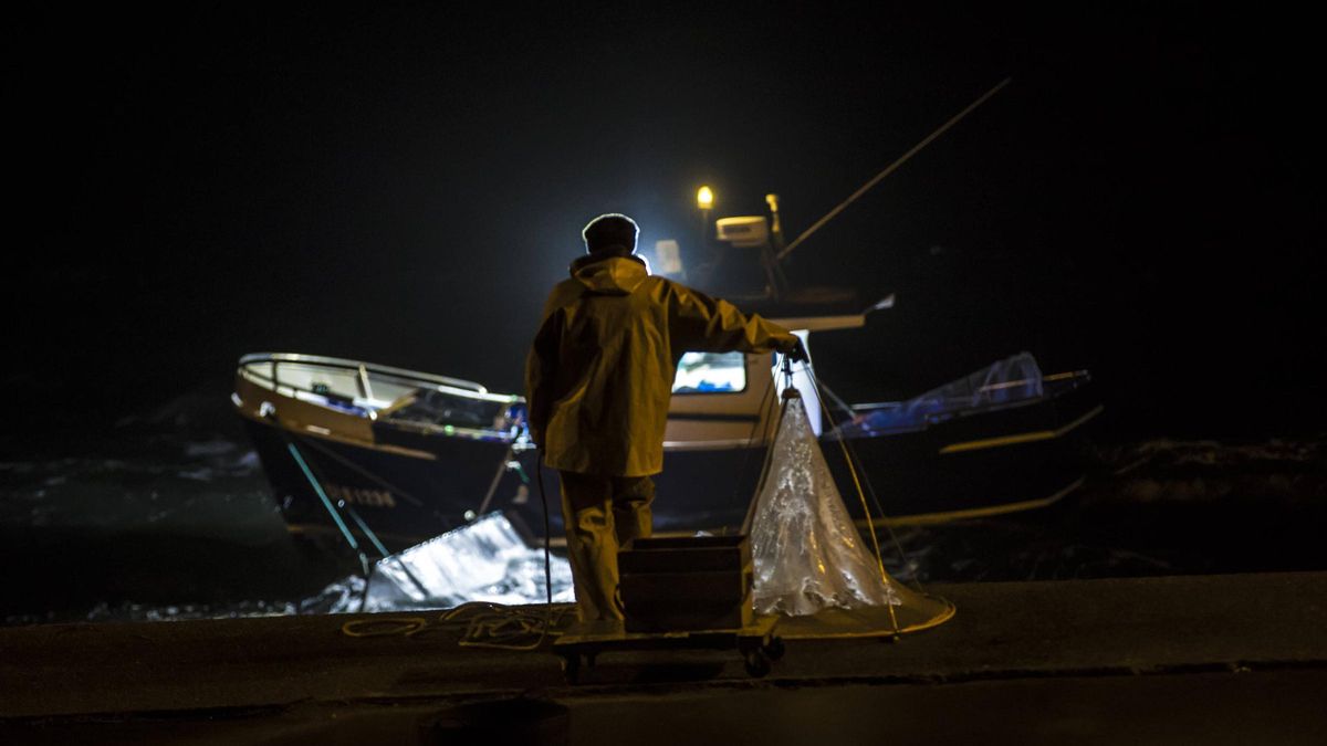EN IMÁGENES: así se pesca angula en la ría del Nalón