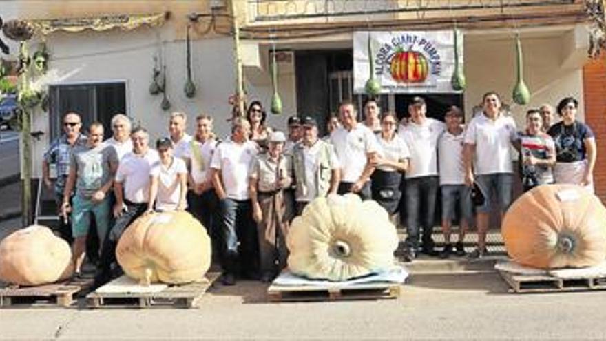 L’Alcora, tierra de calabazas gigantes