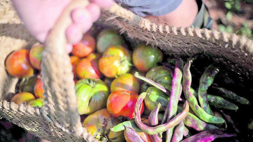 la agricultura tradicionalse se rebela