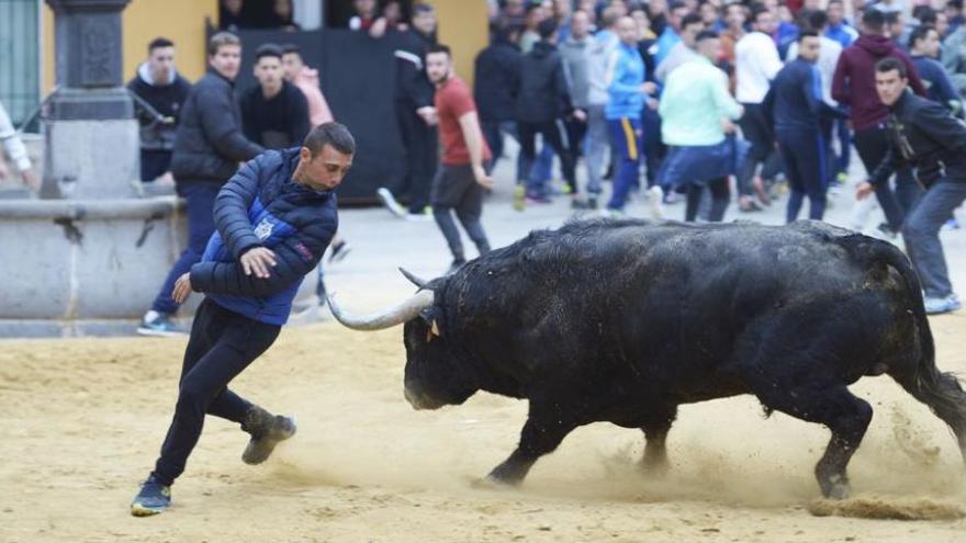 Sant Vicent estrena la temporada taurina en la Vall con tres cerriles