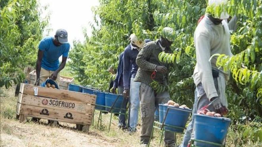 El número de trabajadores extranjeros logra un nuevo récord en junio con 2,17 millones